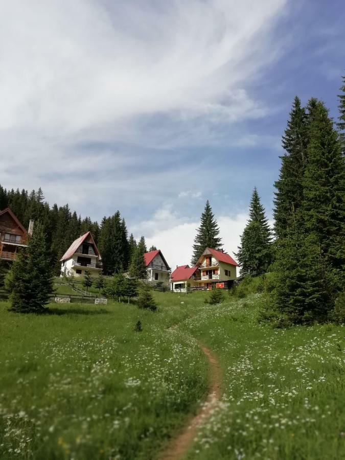 Apartment Vujisic Žabljak Exteriér fotografie